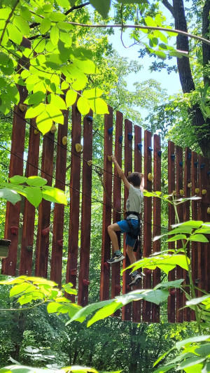 Parc de aventură "Dynamis"