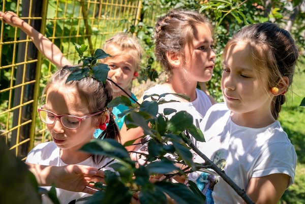 Casa de Tip Familial "Izvorul Tămăduirii" - Oarda de Jos