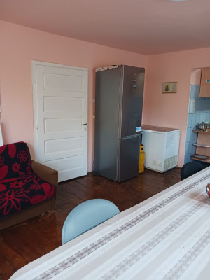 Serviciul de locuire asistată în comunitate pentru viață independentă – locuință protejată, nr. 8 Abrud