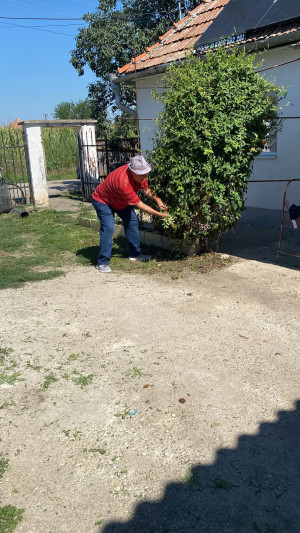 Serviciul de Îngrijire la Domiciliu pentru Persoane Adulte cu Dizabilități Roșia de Secaș