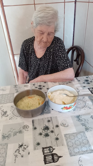 Serviciul de Îngrijire la Domiciliu pentru Persoane Adulte cu Dizabilități Zlatna