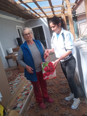 Serviciul de Îngrijire la Domiciliu pentru Persoane Adulte cu Dizabilități Silivaș